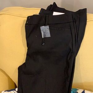 NWT Express Columnist Pant